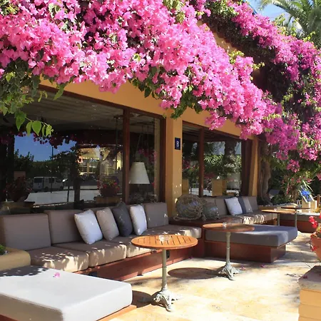 Restaurant Ceferino 3*